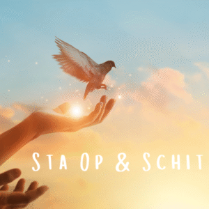 1 jaar Training – SO&S – 1. Intro