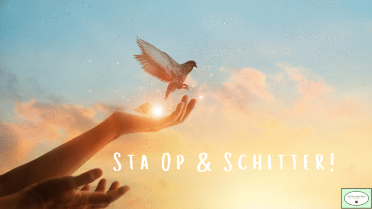 Sta Op & Schitter! – 1 jaar Programma