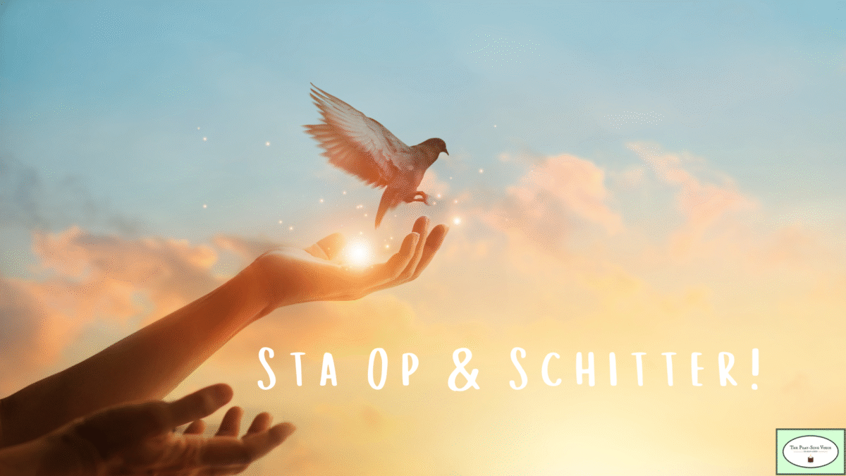 Sta Op & Schitter! – 1 jaar Programma