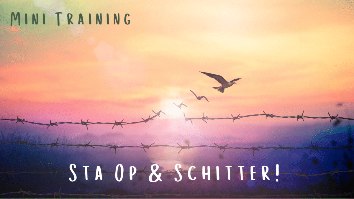 Sta Op & Schitter! – Mini Training