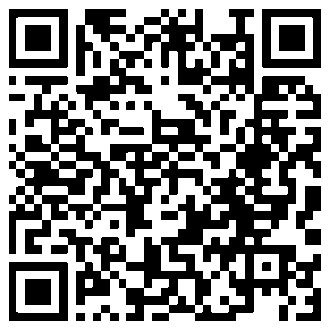 Leerlingenconcert – website